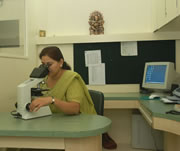 Surgical Cardiac Patients