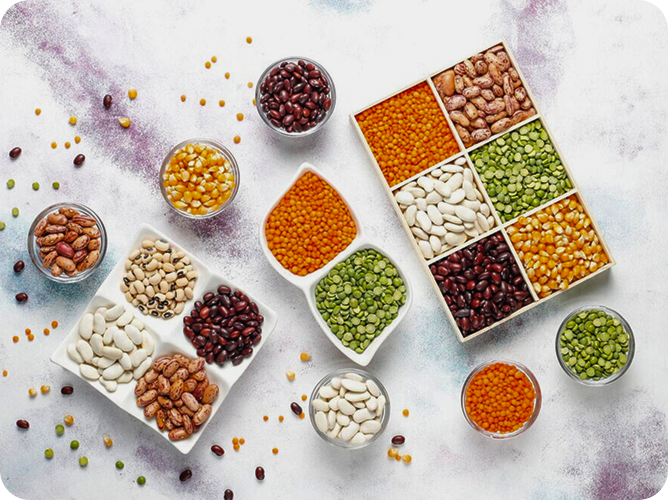 carrier-for-feed-application-banner-image