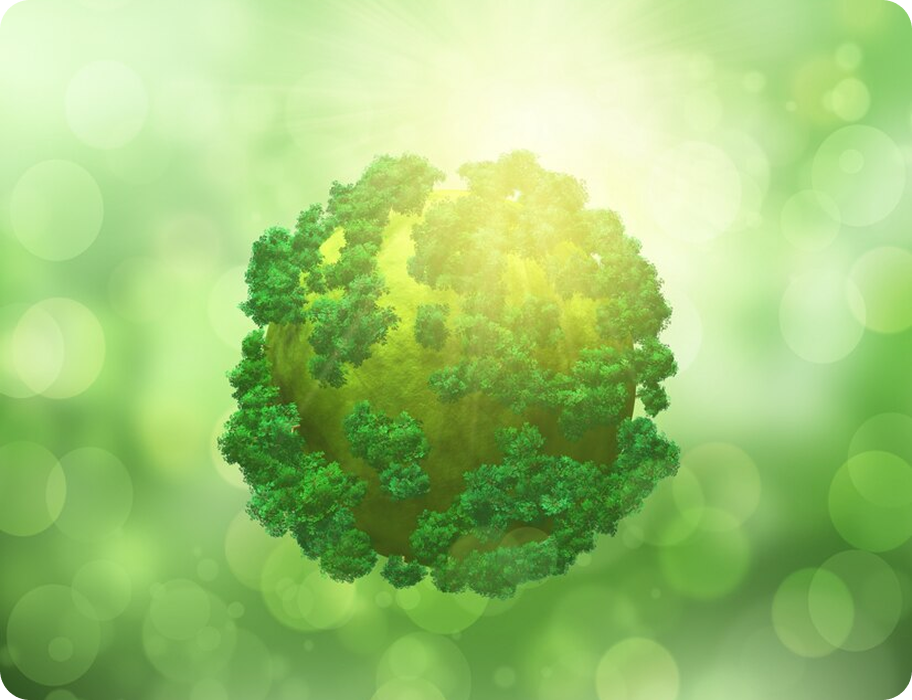 CSR initiative focused on planting trees and eco-awareness