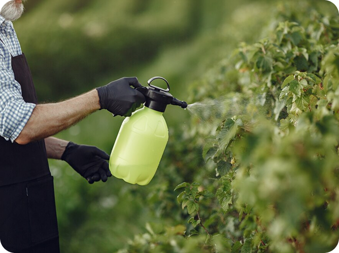 pesticides-application-image