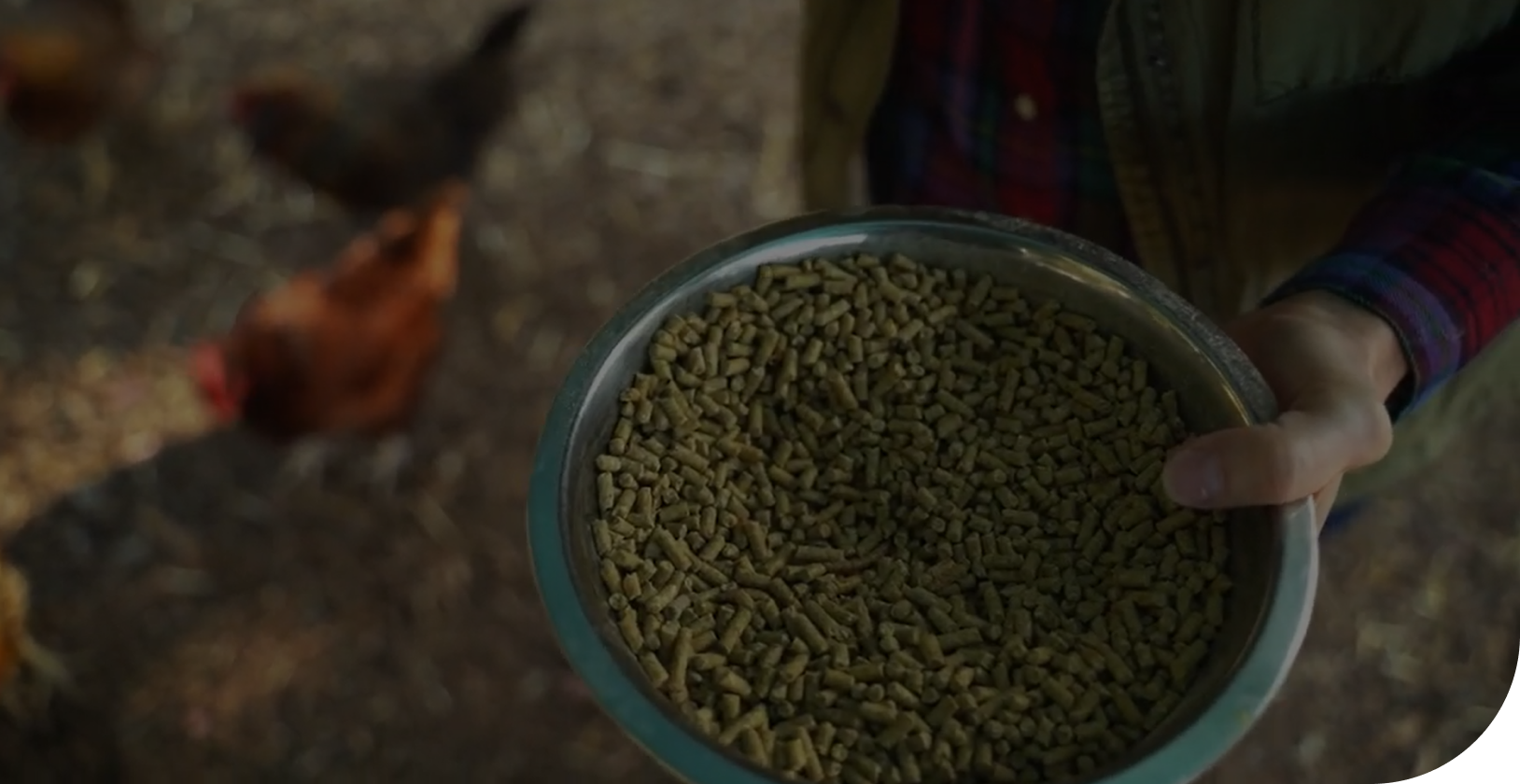 agriculture-and-animal-feed-img