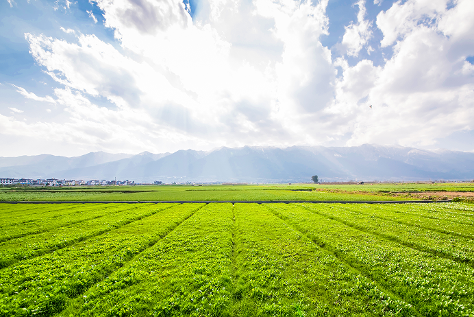 nahar-zinc-agriculture-img