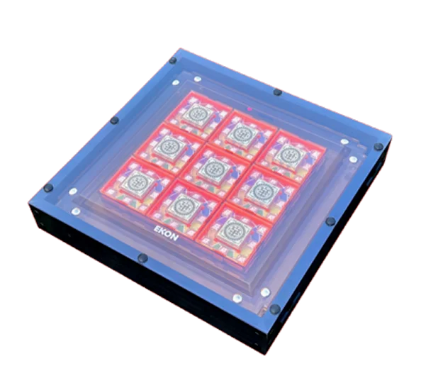 FaMa Passport Basic Plastic (Pack of 6)