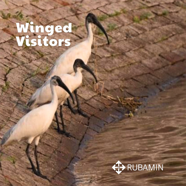 A Testament to Our Commitment to Nature