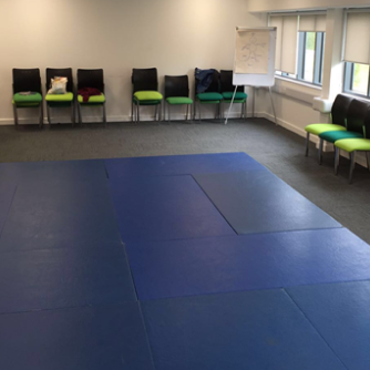 Breakaway & Physical Interventions Training