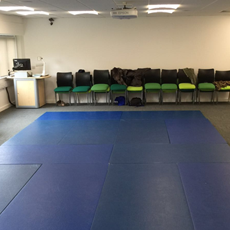 Breakaway & Physical Interventions Training